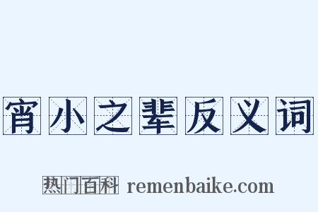宵小之辈反义词是什么意思的图片